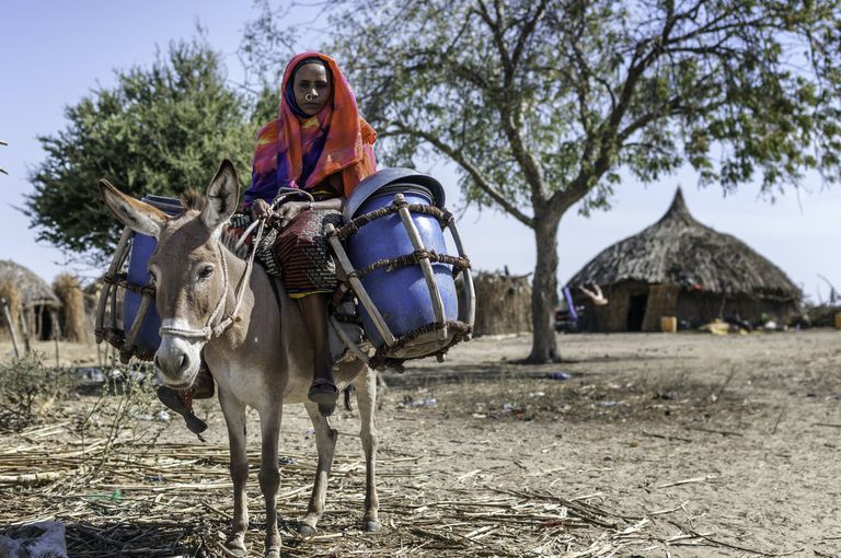 索马里女人骑着驴，提着水桶＂class=