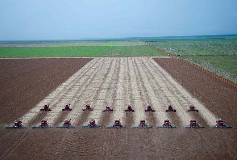 在巴西马托格罗索州的一个农场里，成排的联合收割机在收割大豆，周围是绿色的田野。“class=