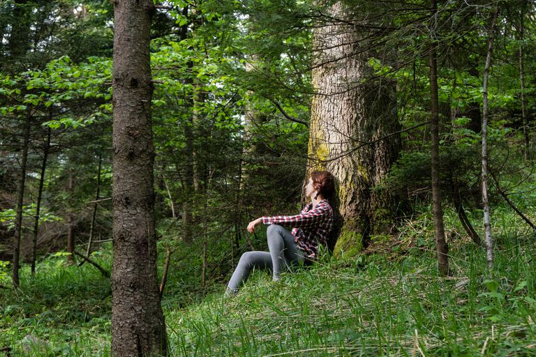 在树木繁茂的森林里，女人靠在树上沉思